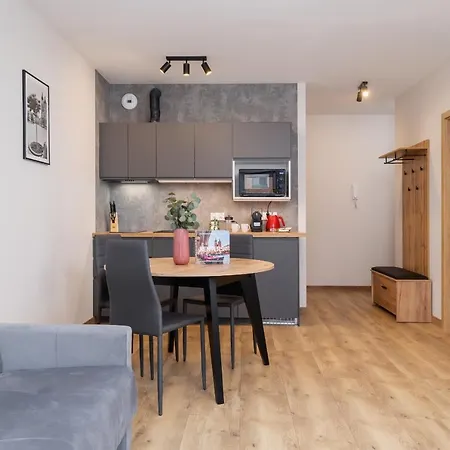 Modern Podgorze With Parking By Renters * Krasków