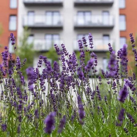 Apartament Modern Podgorze With Parking By Renters